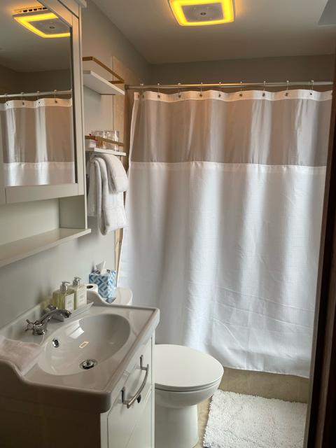 bathroom with tub & spa shower